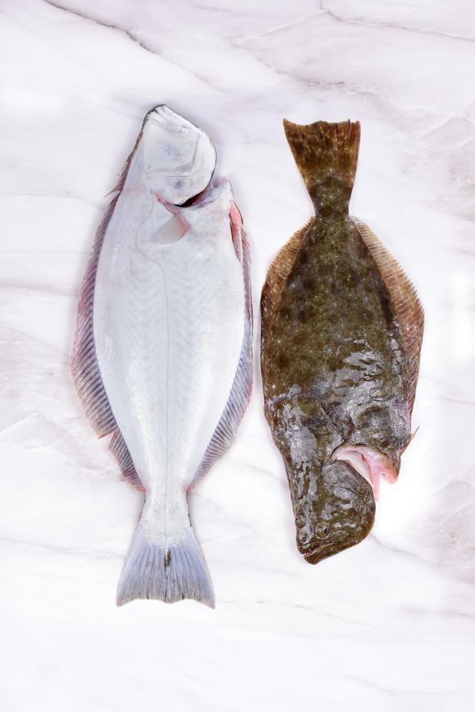 Pescado entero fresco de lenguado capturado por Cooperativa Progreso en Baja California