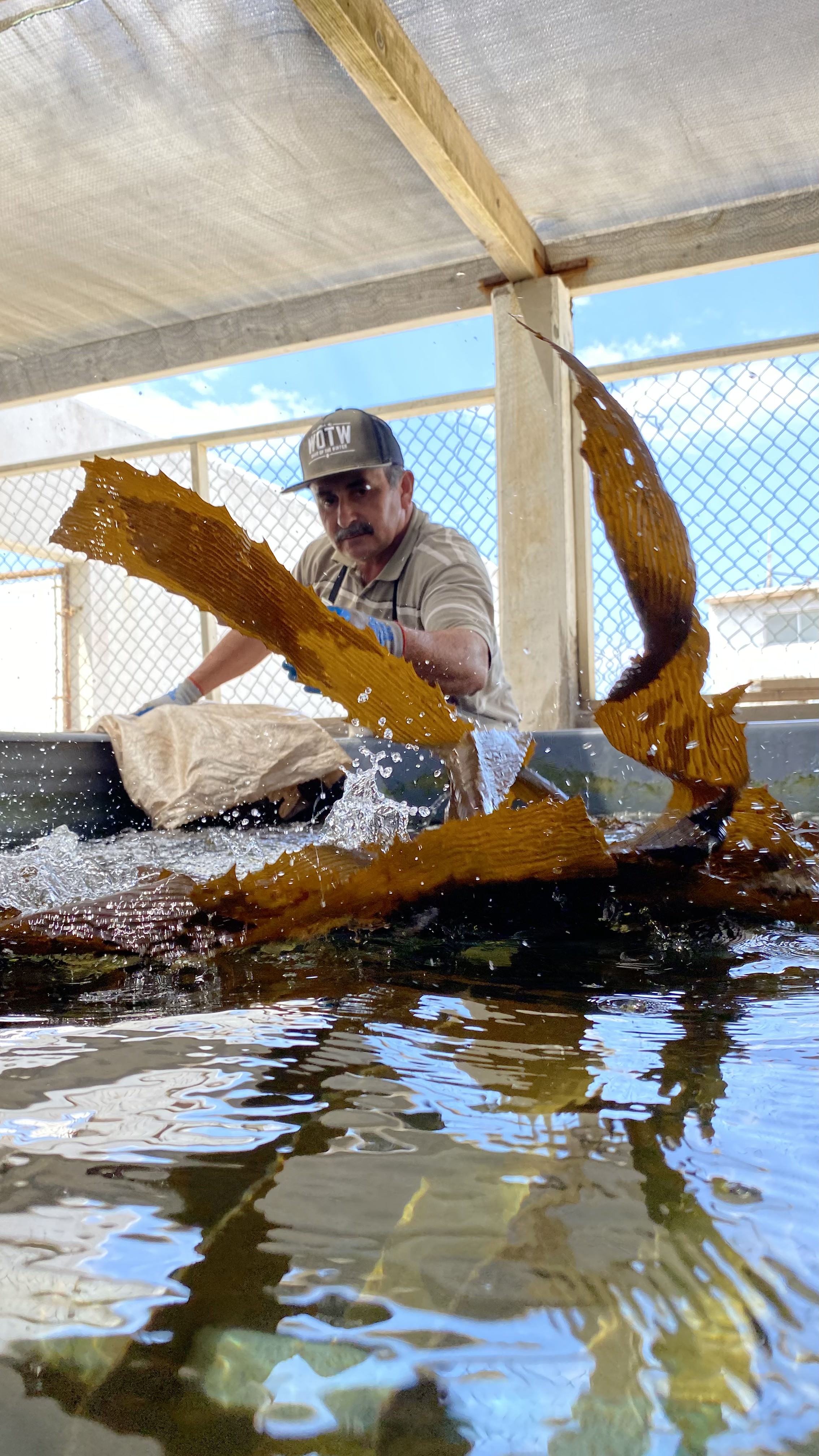 Instalaciones de cultivo de abulón y ostión de la Cooperativa Progreso en Ensenada