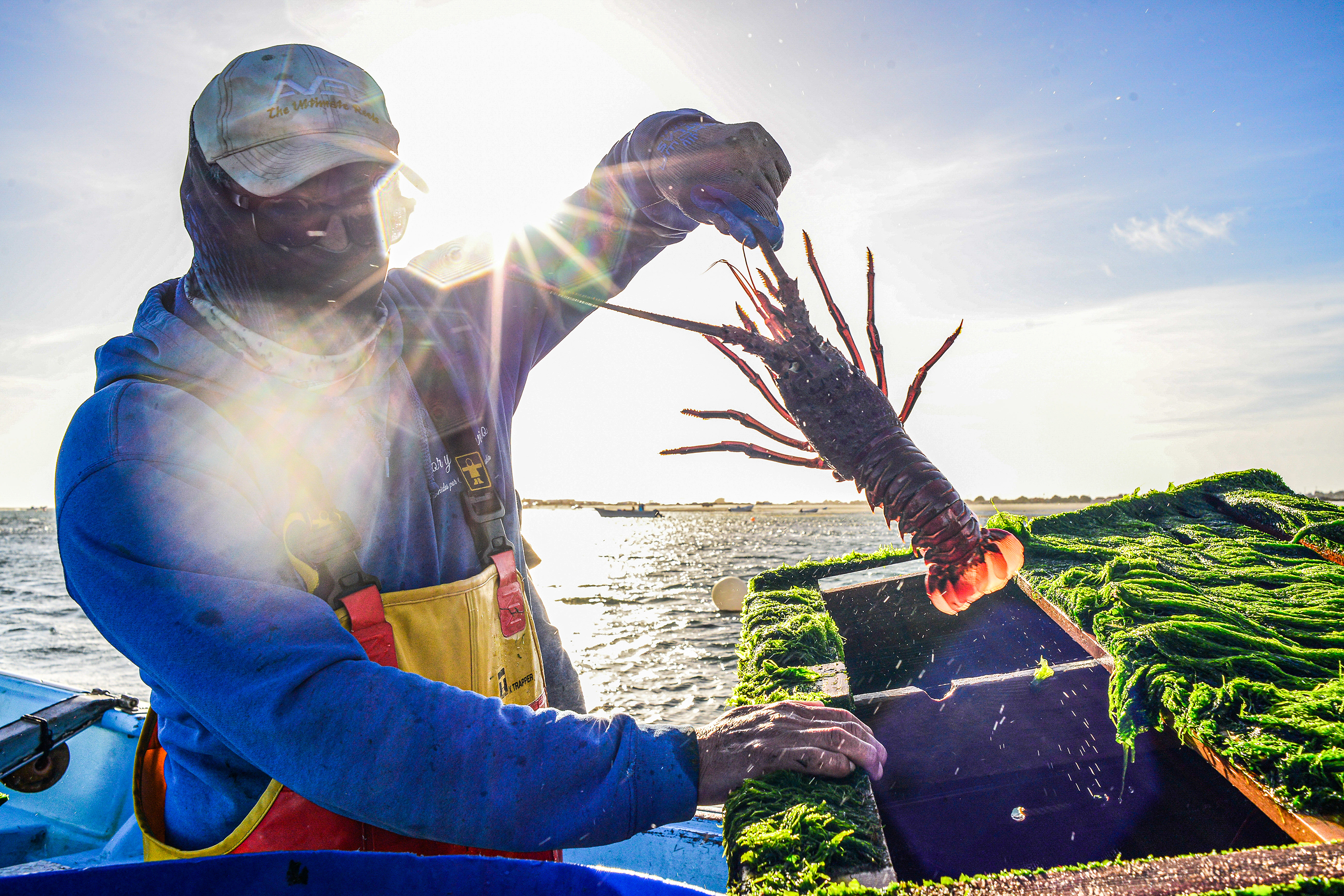 Proceso de captura sustentable de productos marinos por pescadores experimentados