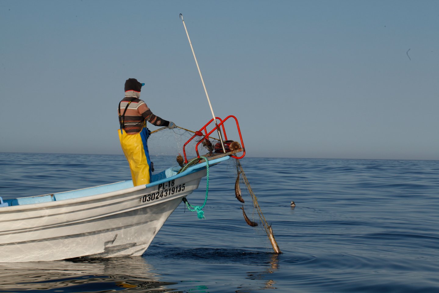 Zona de procesamiento y empaque de mariscos frescos en planta certificada