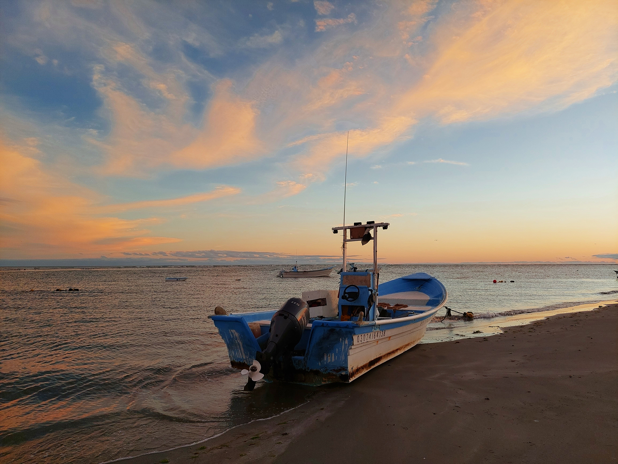 Cooperativistas trabajando en la selección y clasificación de productos del mar